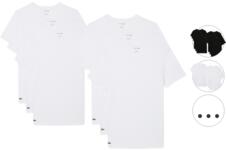 6x Lacoste Basic T-Shirt | Heren