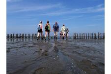 MEGA DEAL! â Geniet 2, 3 of 4 dagen bij de Waddenzee in het Groningse Pi