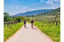 Ontdek de magie van de Eifel! â Verblijf 3, 4, 5 of 6 dagen ALL-INCLUSIVE in het